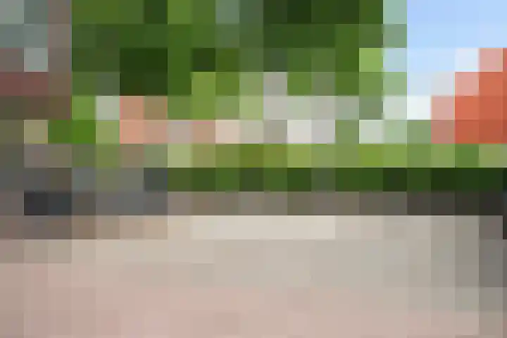 Oldenallerhout 22 Harderwijk thumbnail 32