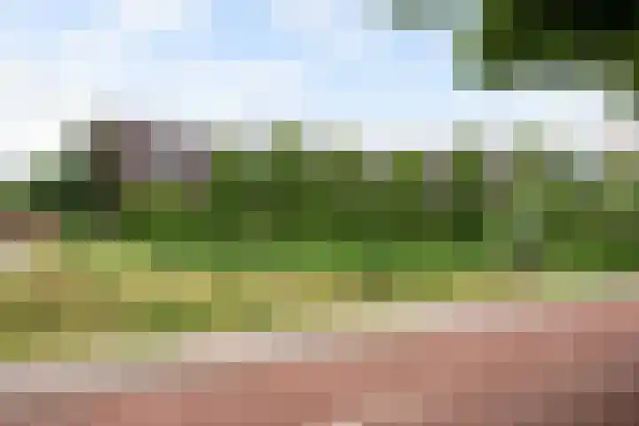 Oldenallerhout 22 Harderwijk thumbnail 37