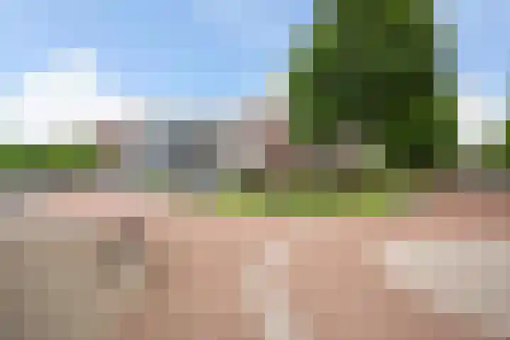 Oldenallerhout 22 Harderwijk thumbnail 38