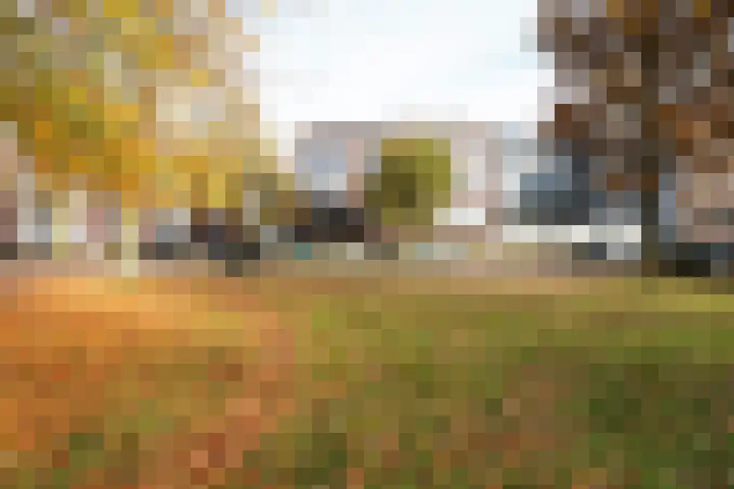 Oldenallerhout 74 Harderwijk thumbnail 6