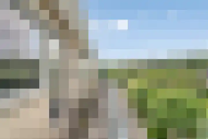 Oldenallerhout 87 Harderwijk thumbnail 30