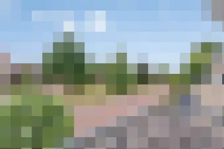 Oldenallerhout 87 Harderwijk thumbnail 31