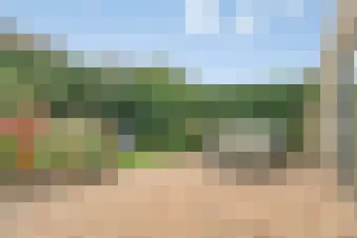 Oldenallerhout 87 Harderwijk thumbnail 42