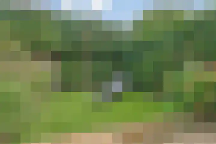 Oldenallerhout 87 Harderwijk thumbnail 43
