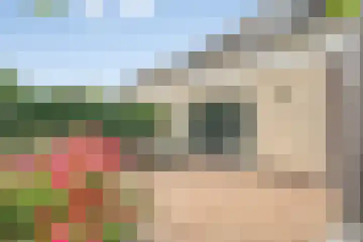 Oldenallerhout 87 Harderwijk thumbnail 44