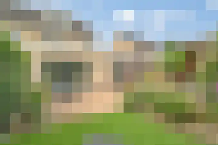 Oldenallerhout 87 Harderwijk thumbnail 45