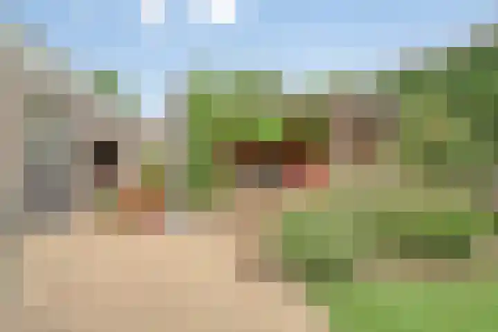 Oldenallerhout 87 Harderwijk thumbnail 48