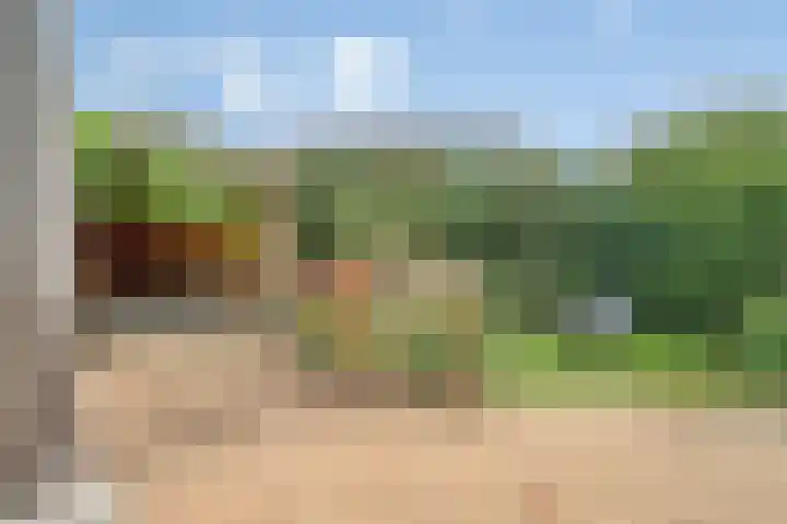 Oldenallerhout 87 Harderwijk thumbnail 49
