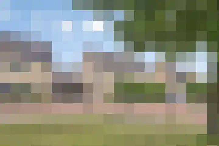 Oldenallerhout 87 Harderwijk thumbnail 50