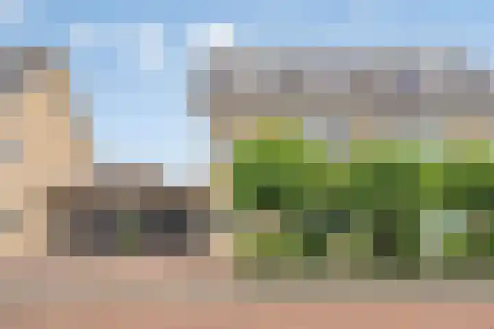 Oldenallerhout 87 Harderwijk thumbnail 53