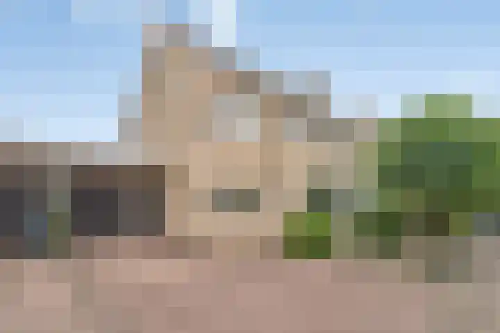 Oldenallerhout 87 Harderwijk thumbnail 54