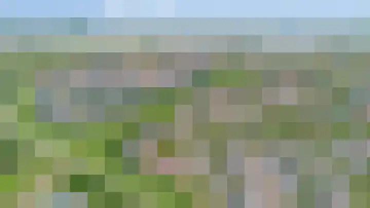 Oldenallerhout 87 Harderwijk thumbnail 56