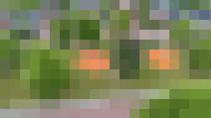 Oldenallerhout 87 Harderwijk thumbnail 58
