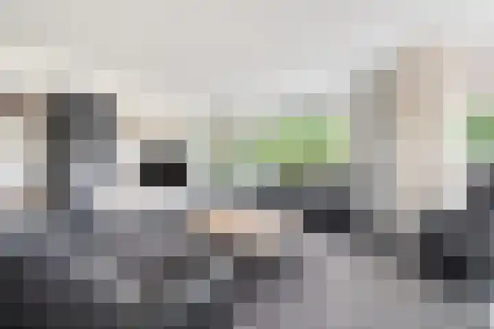 Oldenallerhout 87 Harderwijk thumbnail 8
