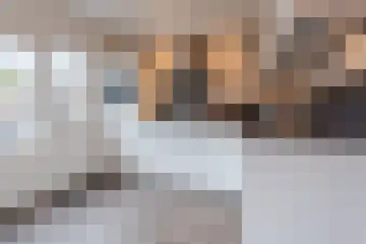 Oldenbandringhstraat 6 Hoogeveen thumbnail 20