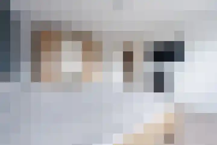 Oldenbandringhstraat 6 Hoogeveen thumbnail 35
