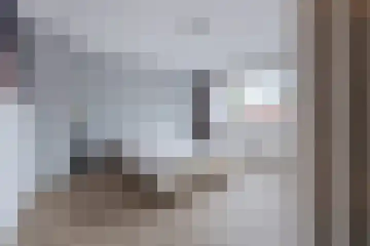 Oldenbandringhstraat 6 Hoogeveen thumbnail 36