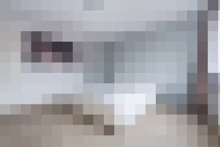 Oldenbandringhstraat 6 Hoogeveen thumbnail 38