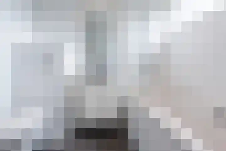 Oldenbandringhstraat 6 Hoogeveen thumbnail 43