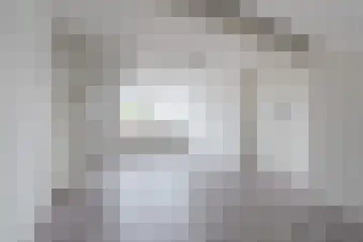 Oldenbandringhstraat 6 Hoogeveen thumbnail 48