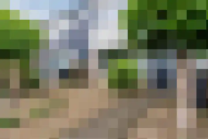 Oldenbandringhstraat 6 Hoogeveen thumbnail 5