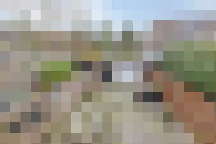 Oldenbarnevelderweg 40 Barneveld thumbnail 27