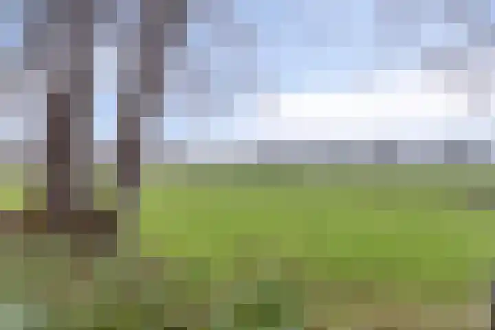 Oldenbarnevelderweg 40 Barneveld thumbnail 34