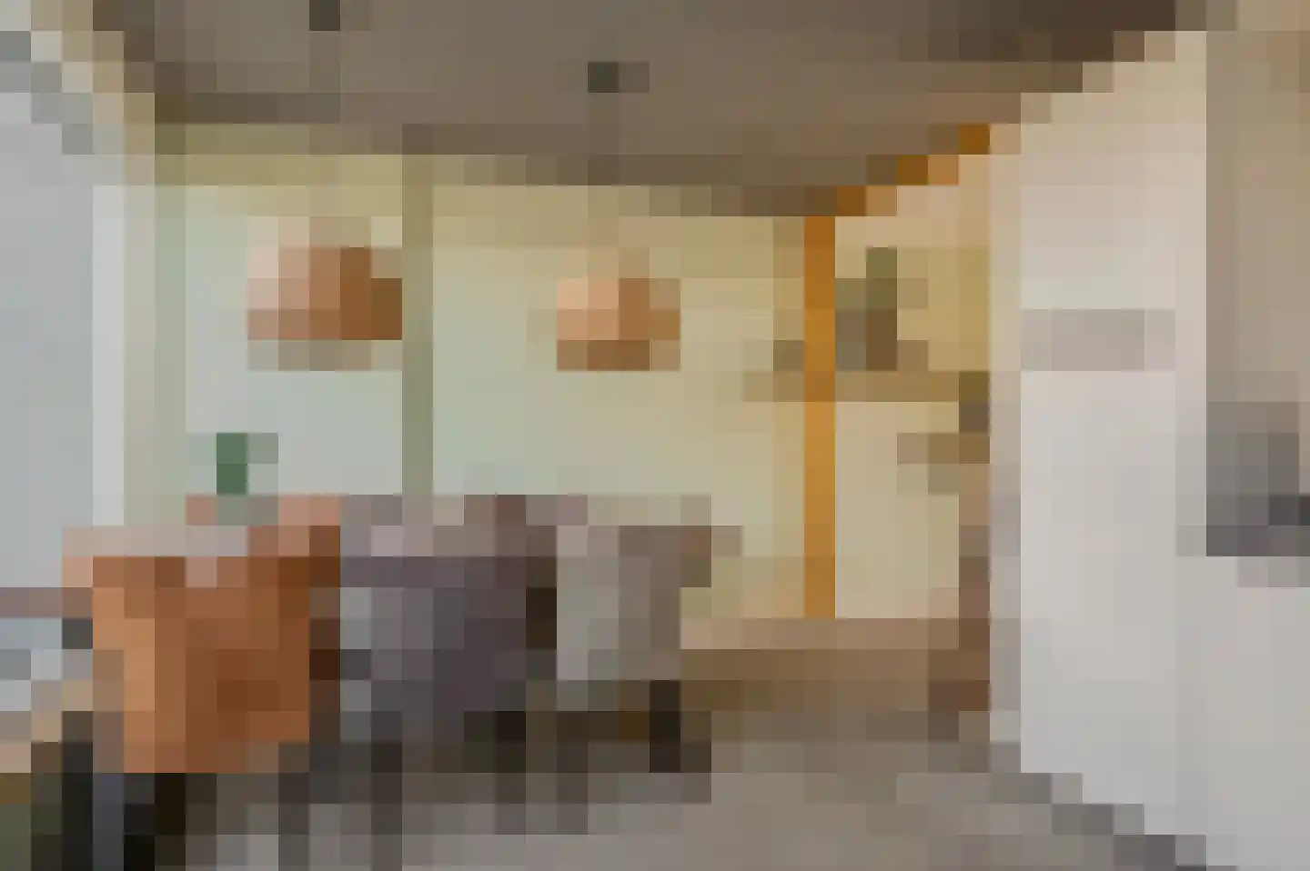 Oldenbarnevelderweg 58 Barneveld thumbnail 18