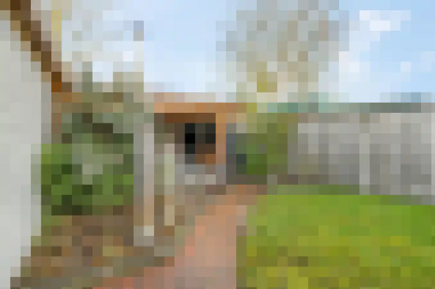 Oldenbarnevelderweg 58 Barneveld thumbnail 37
