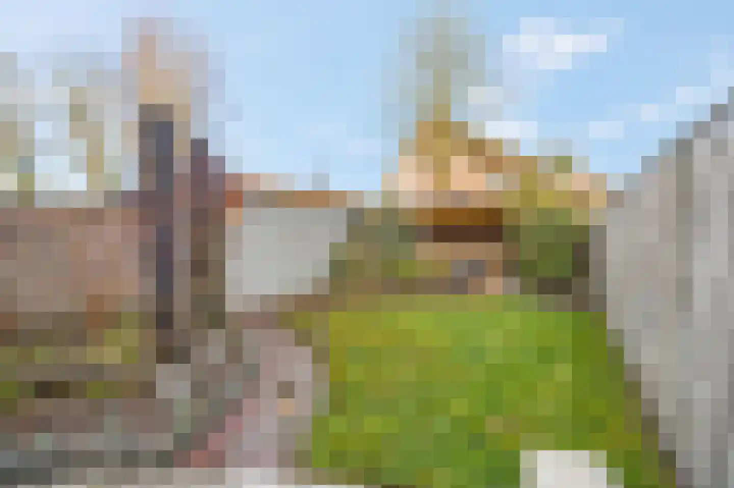 Oldenbarnevelderweg 58 Barneveld thumbnail 40