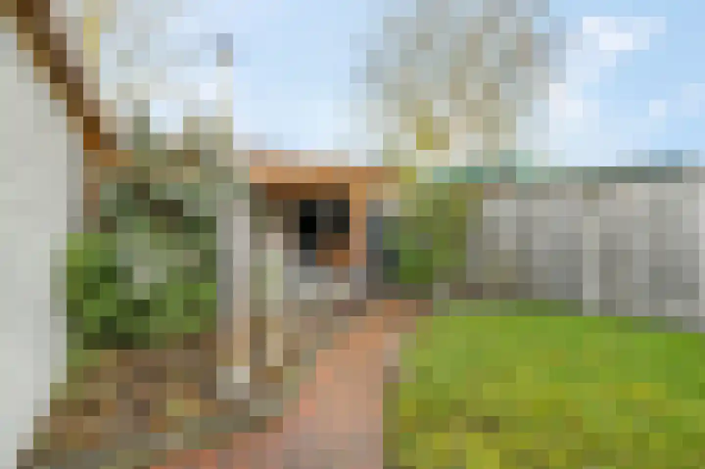 Oldenbarnevelderweg 58 Barneveld thumbnail 42