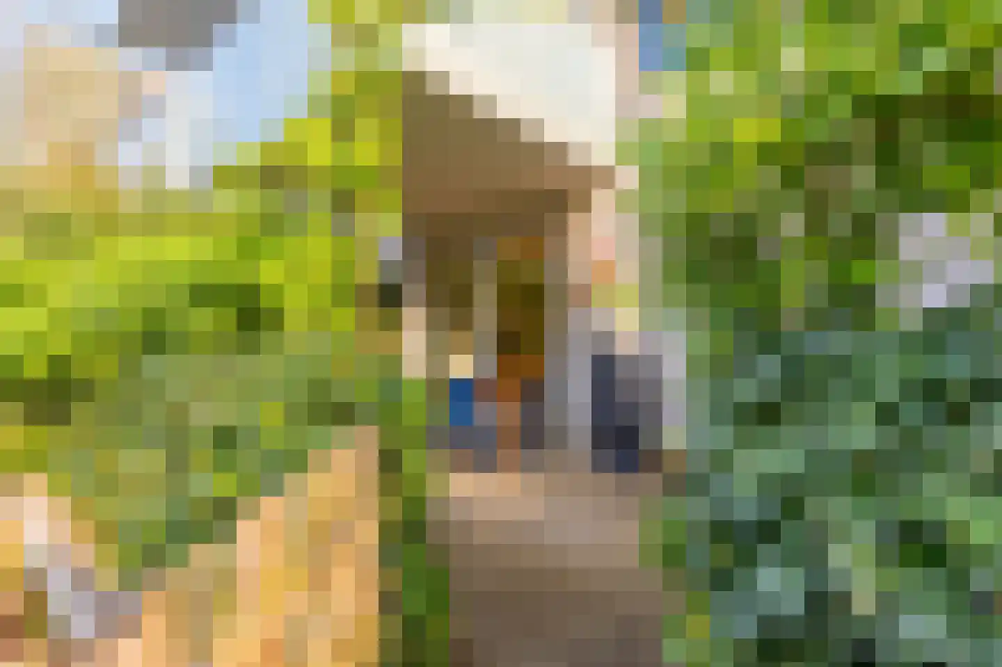 Oldenburgerhof 6 Utrecht thumbnail 31