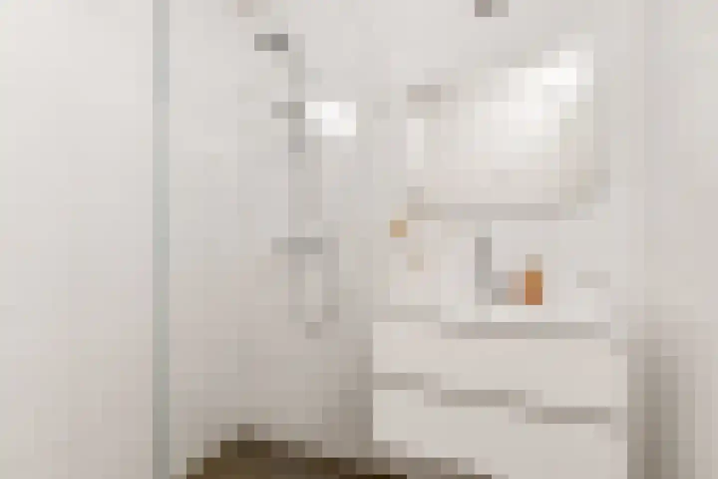 Oldenburgerstraat 169 Utrecht thumbnail 17