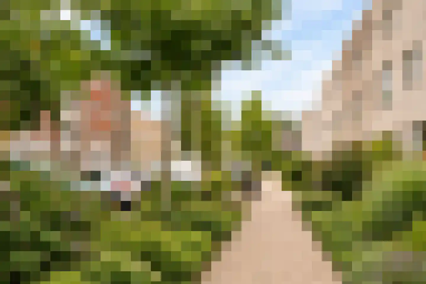 Oldenburgerstraat 169 Utrecht thumbnail 30