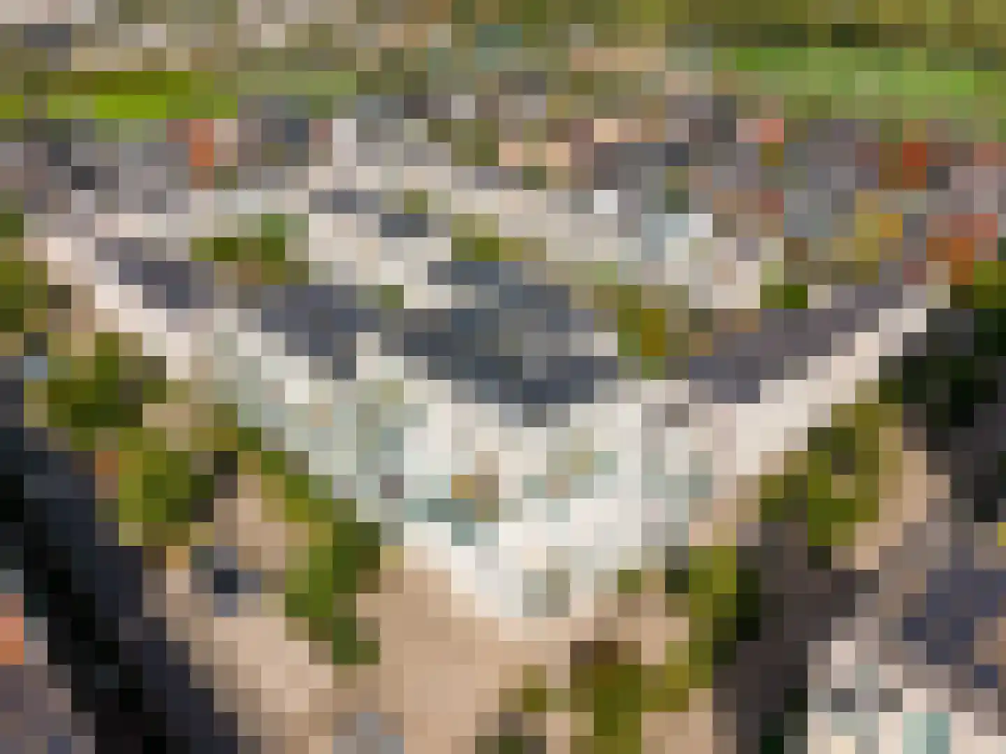 Oldenburgerstraat 169 Utrecht thumbnail 31