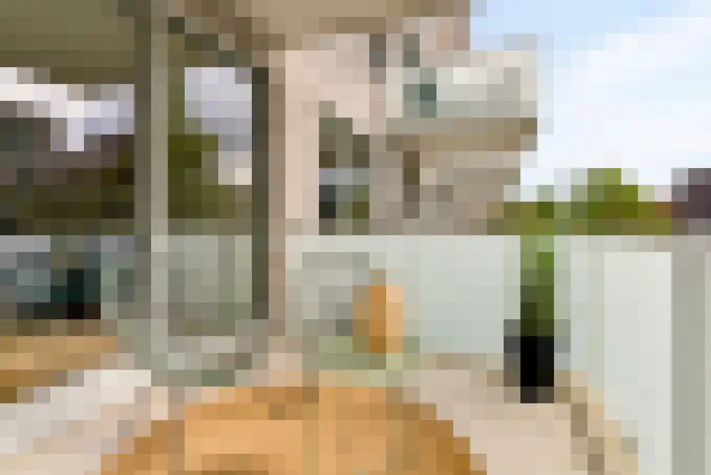 Oldenburgerstraat 169 Utrecht thumbnail 4