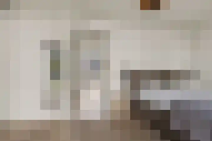 Oldenburgerstraat 42 Utrecht thumbnail 33