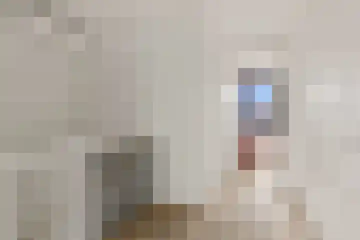 Oldenburgerstraat 42 Utrecht thumbnail 51