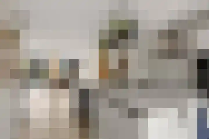 Oldenburgerstraat 42 Utrecht thumbnail 8