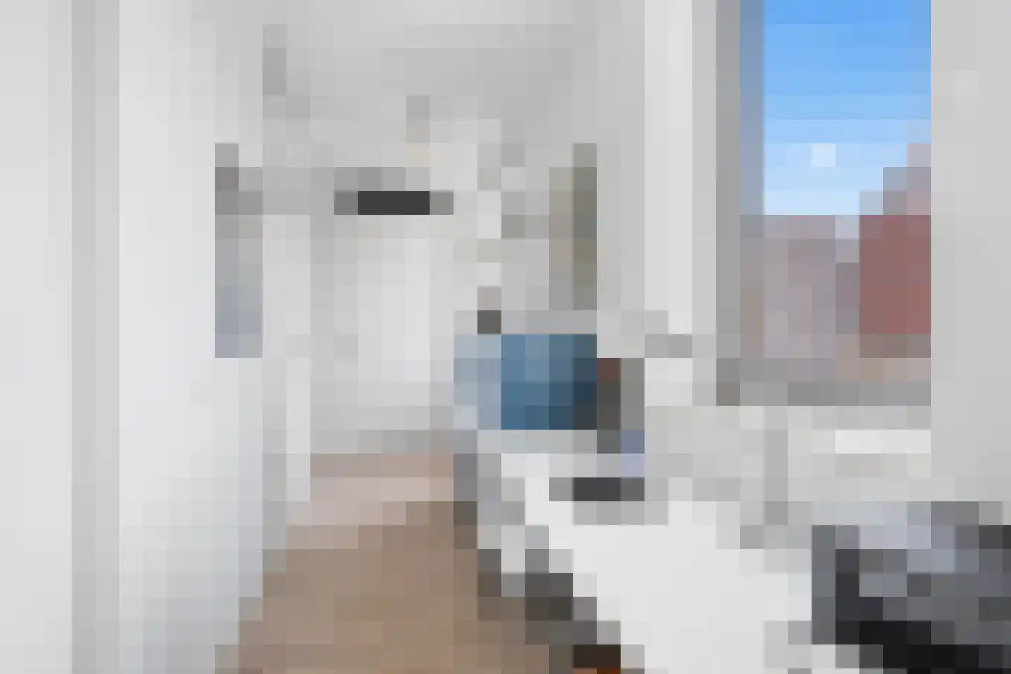 Oldenburgerstraat 54 Utrecht thumbnail 23