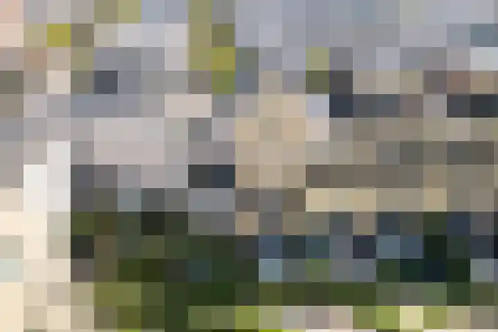 Oldenburgerstraat 84 Utrecht thumbnail 29