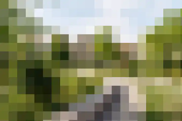 Oldenburgerstraat 84 Utrecht thumbnail 31