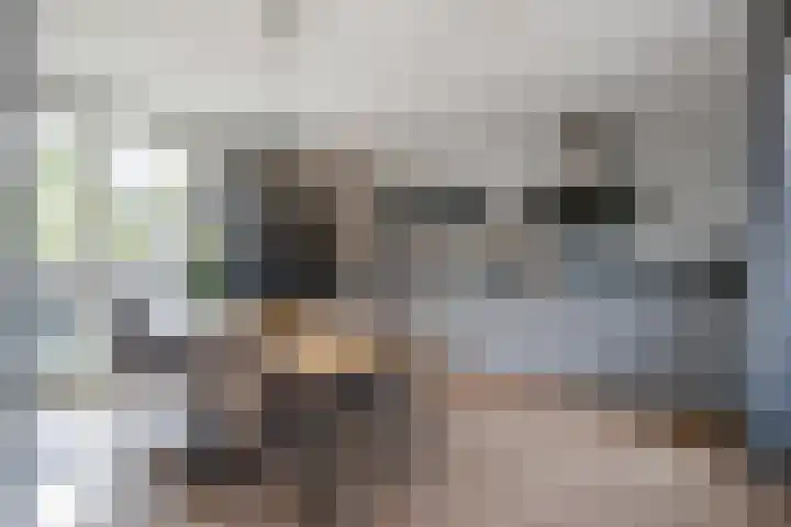 Oldenburgerstraat 84 Utrecht thumbnail 7