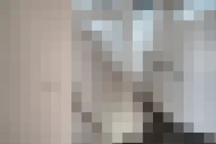 Oldeneelallee 1 Zwolle thumbnail 15