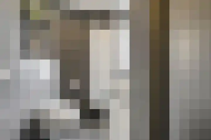 Oldeneelallee 1 Zwolle thumbnail 21