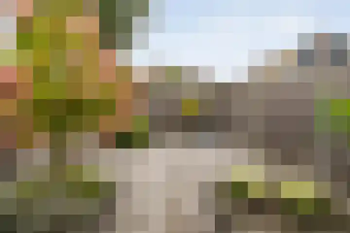 Oldeneelallee 1 Zwolle thumbnail 28