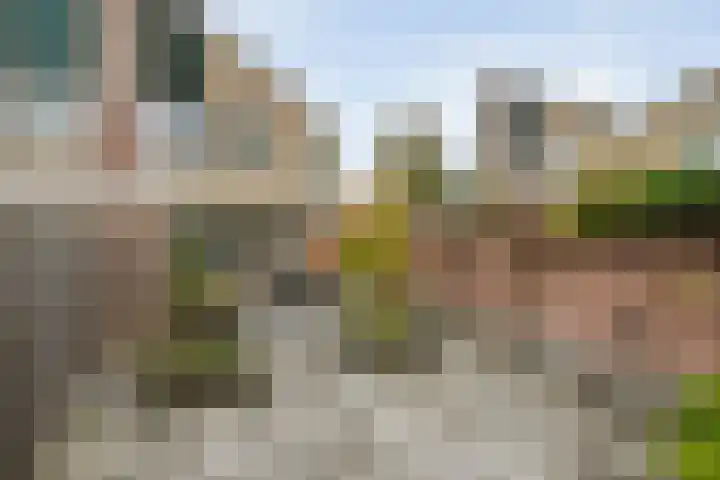 Oldeneelallee 1 Zwolle thumbnail 29