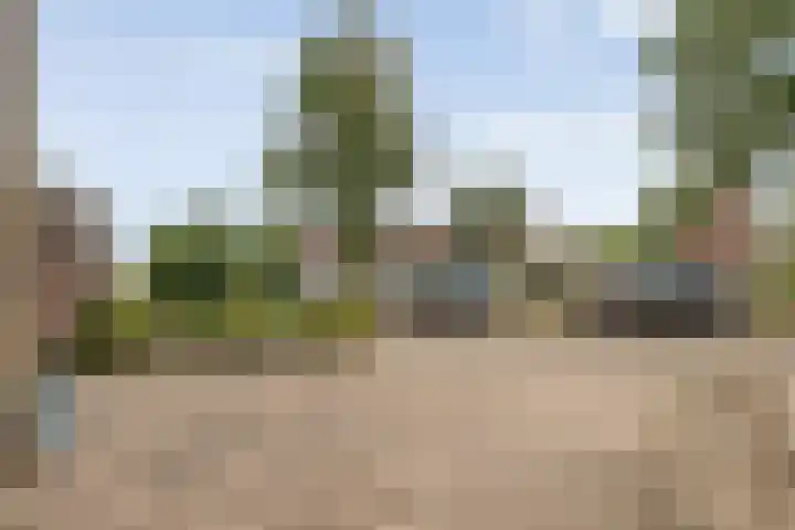 Oldeneelallee 1 Zwolle thumbnail 32