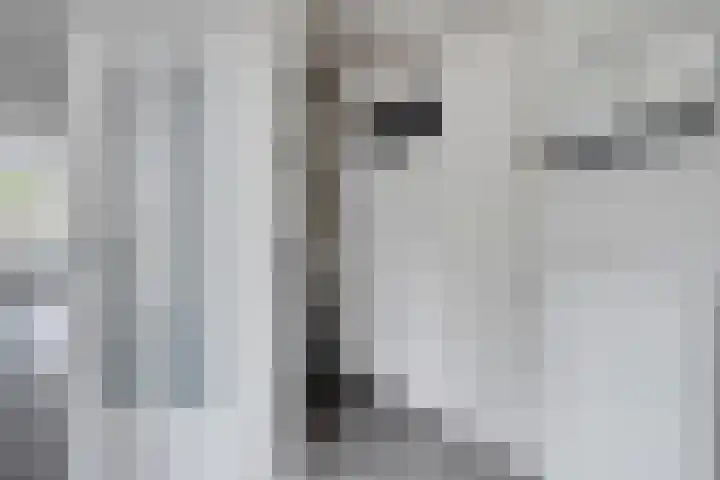 Oldeneelallee 1 Zwolle thumbnail 4