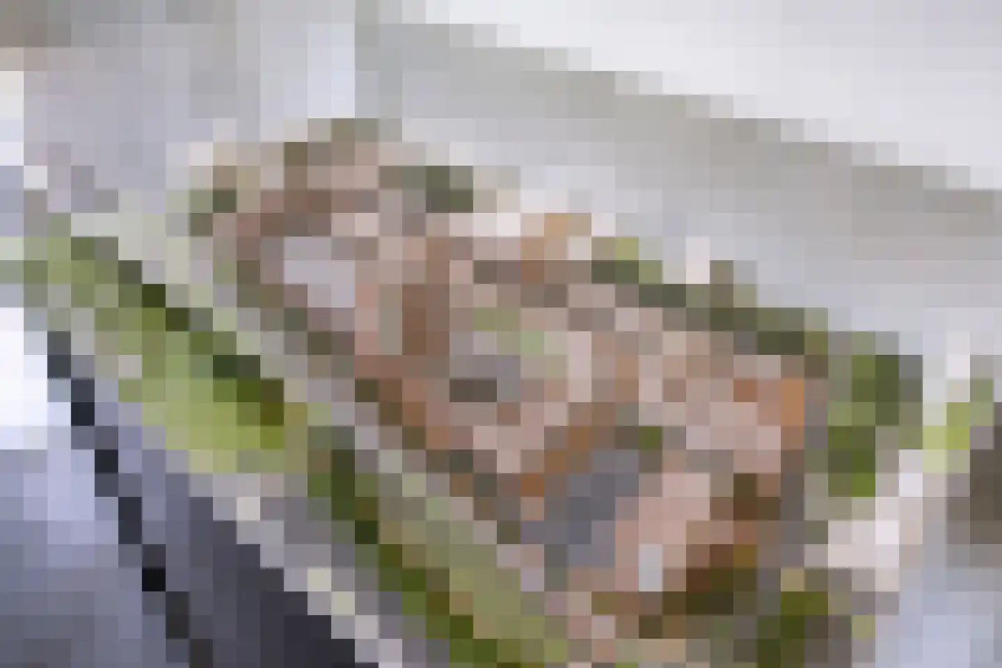 Oldeneelallee 36 Zwolle thumbnail 30